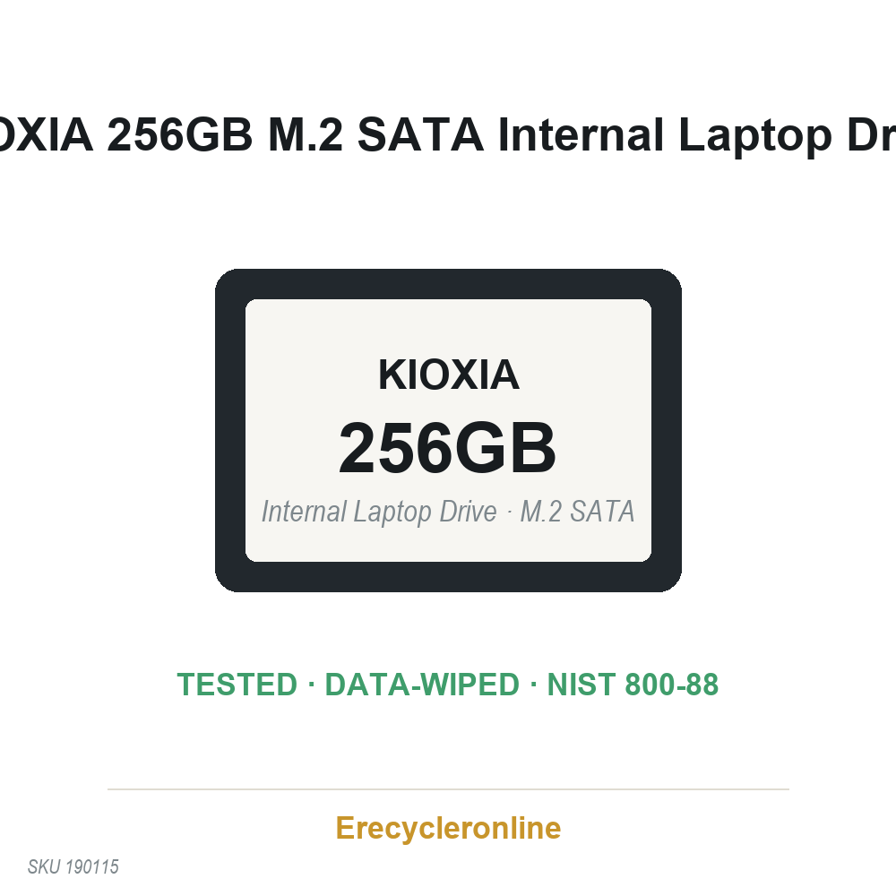 KIOXIA 256GB M.2 SSD KBG40ZNS256G NVMe