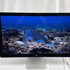 Apple A1316 LED Cinema Display 27" MC007LL/A 2560x1440