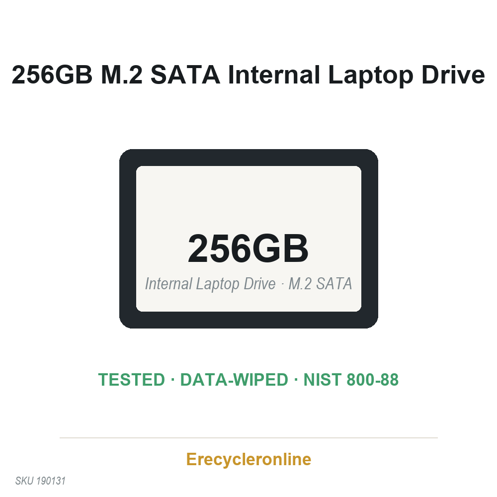 256GB M.2 SSD PC SN520 NVMe WDC